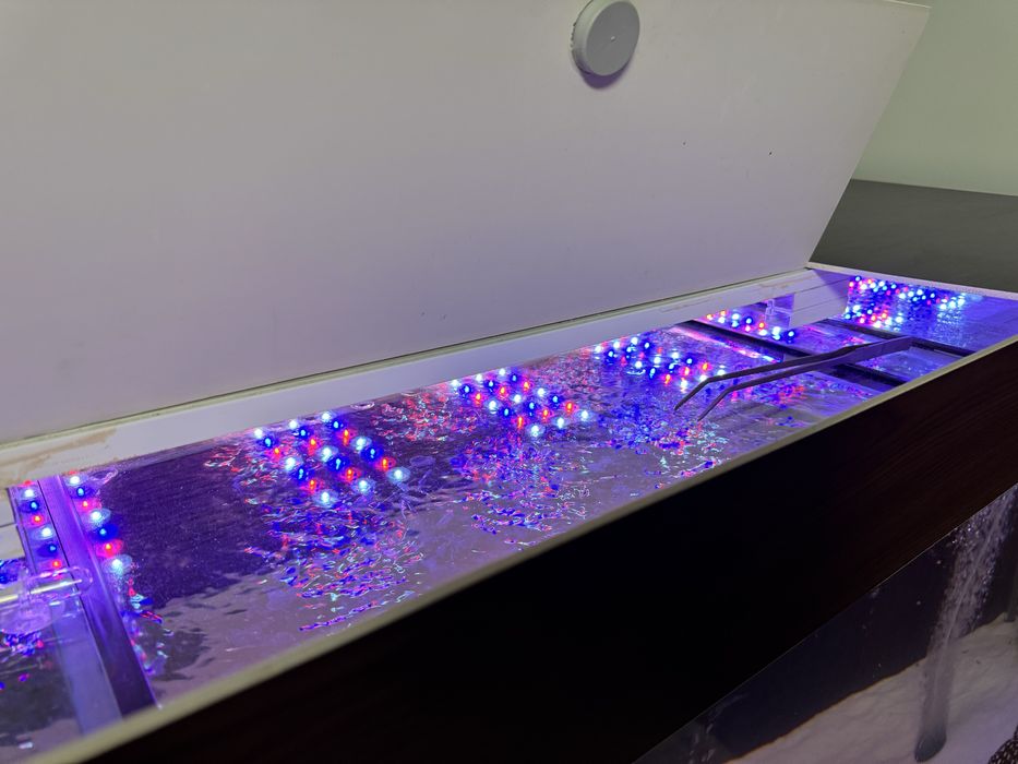 Два Оборудвани аквариума 650+125л с шкаф и риби