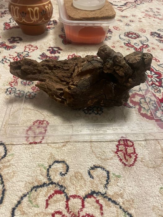 Террариум для рептилий