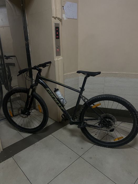 Giant Talon 1 2024 размер рамы L