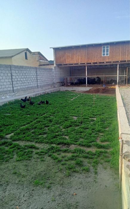 Ховли сотилади навоий