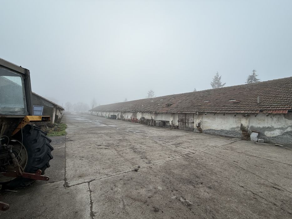 Spatii depozitare//44.000 mp// hale, bascula, moara, pista betonata.