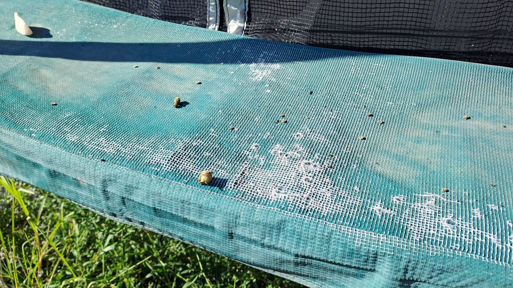 Детски батут от Декатлон