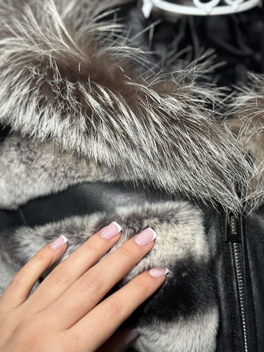 Blana chinchilla superba