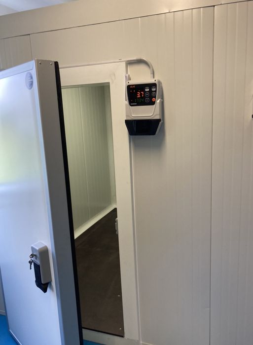 Usa pentru camera frigorifica