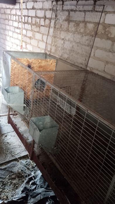 Клетки для кроликов