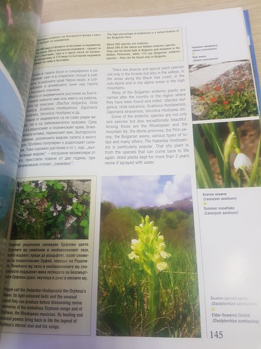 Нова голяма книга Природата на България