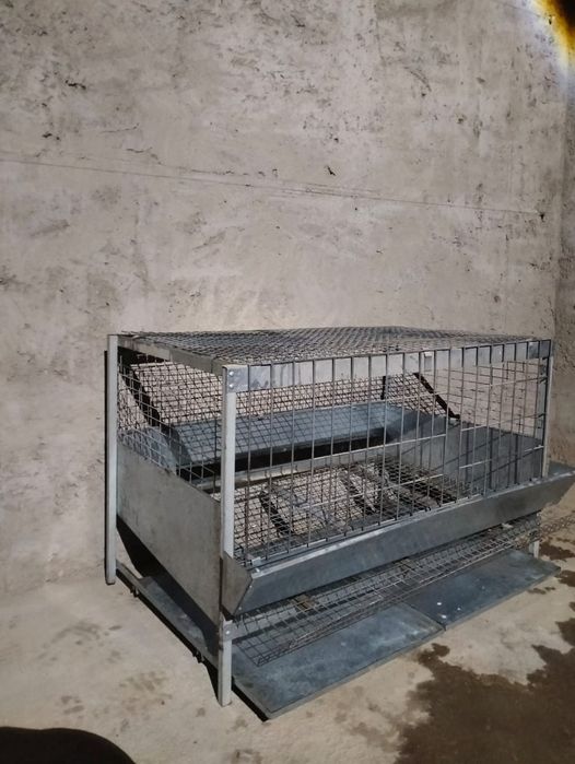 Куринная сетка продается