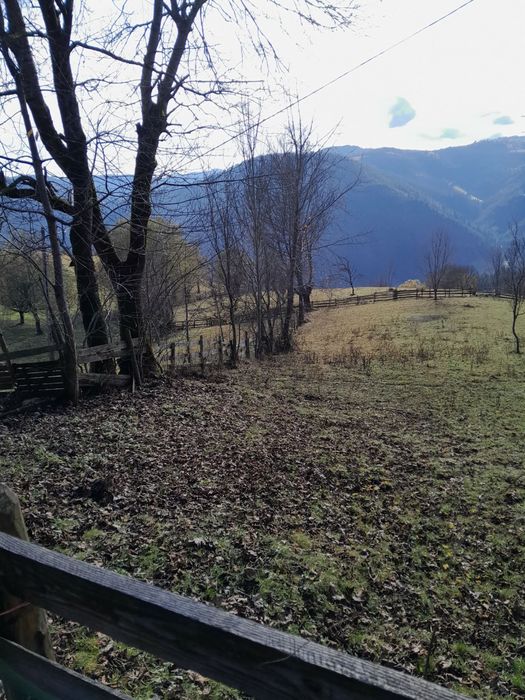 Teren cabana intravilan Albac 1400 mp CF panoramic