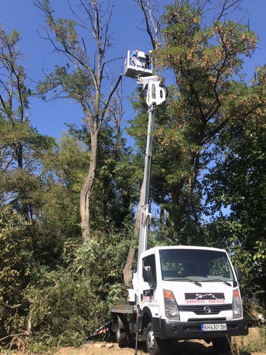 Рязане и кастрене на опасни дървета с автовишка