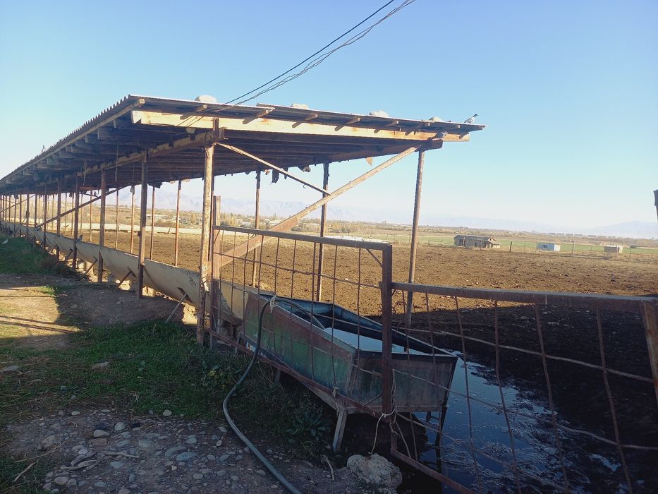 Молхона ва ишлаб чикариш учун бино