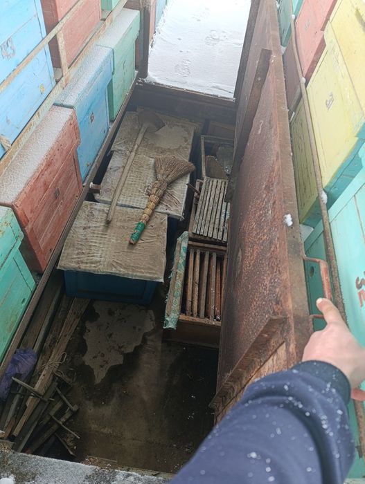 Asalari pritsepi sotiladi asal Ari oilasi bilan pritsepda 64 yashig