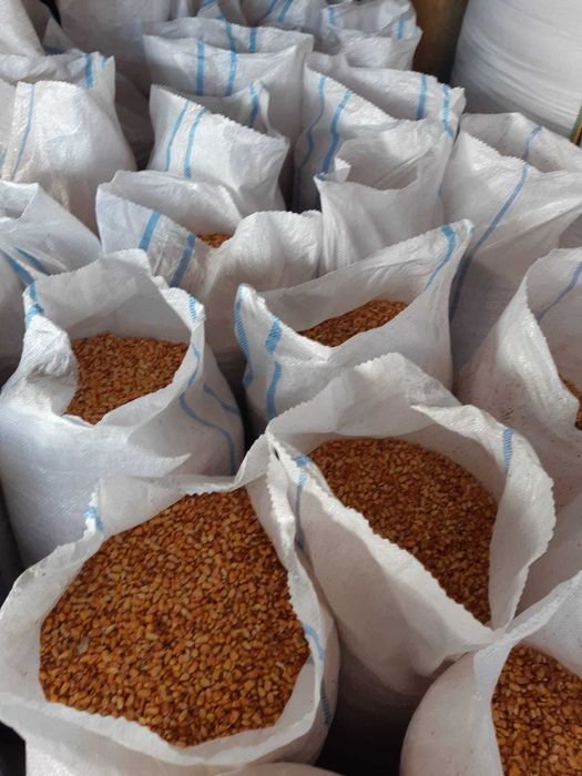 Transport gratuit porumb uscat la 1.1kg va servim la domicilicumparat