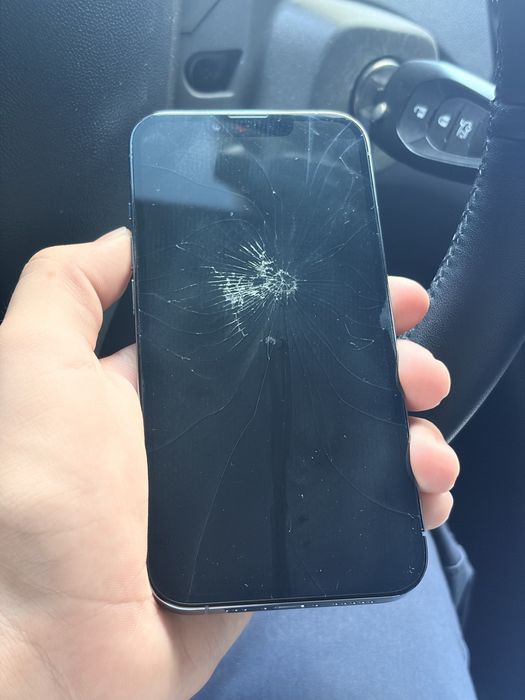 iPhone 13 Pro 256