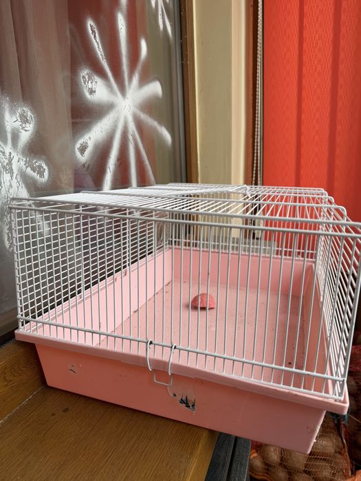 Cusca mare hamster, iepure