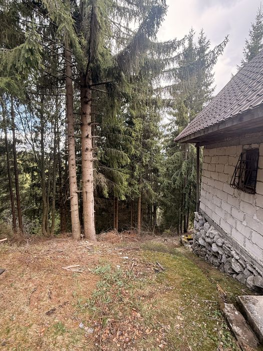 Vand cabana Staiunea Muntele Baisori