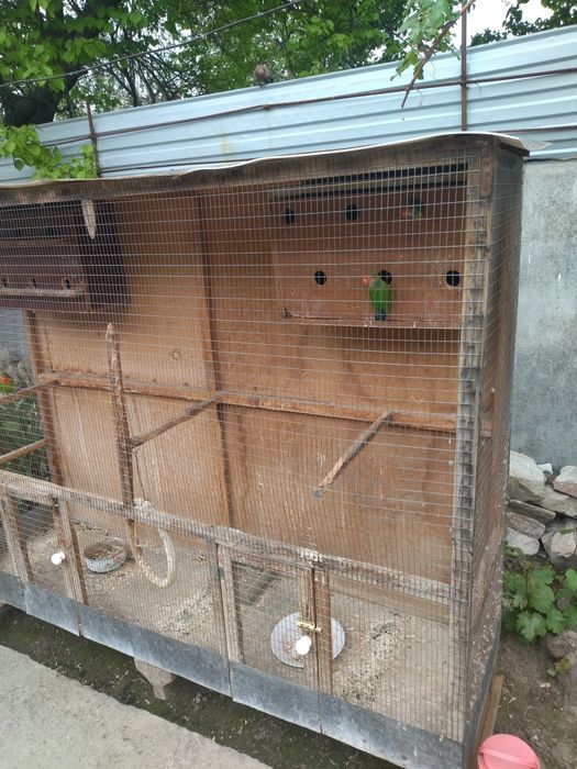 Большая клетка для попугайев