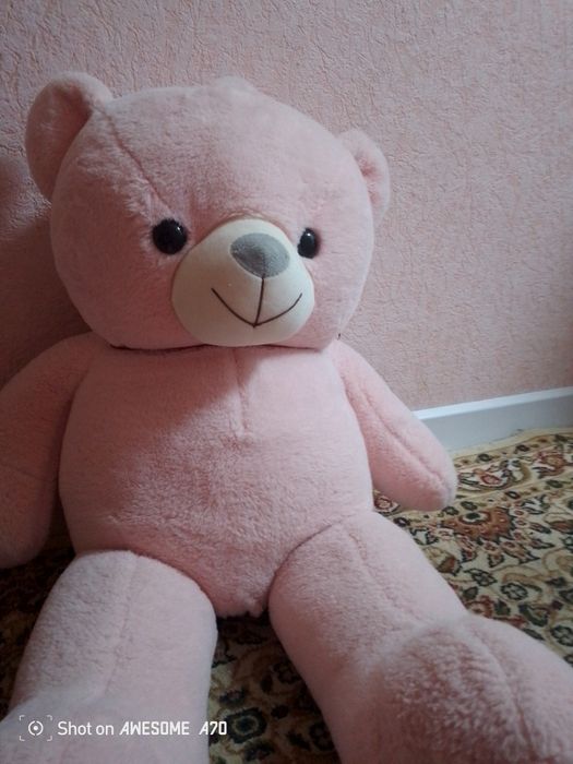 Продаю медведя бу