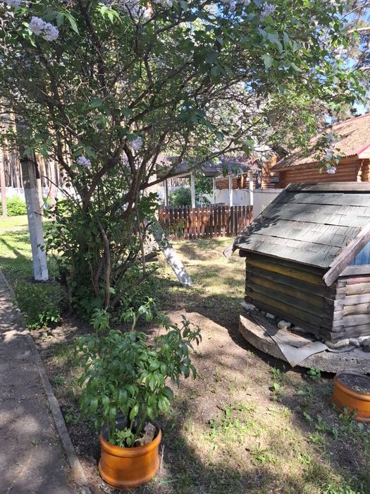 Сдам коттедж на длительный срок