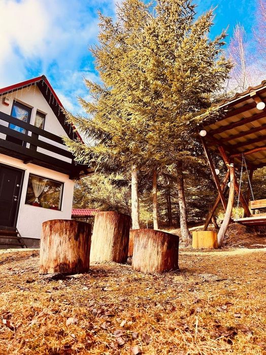 Inchiriez cabana, cu ciubar  Muntele Baisorii,Buscat.