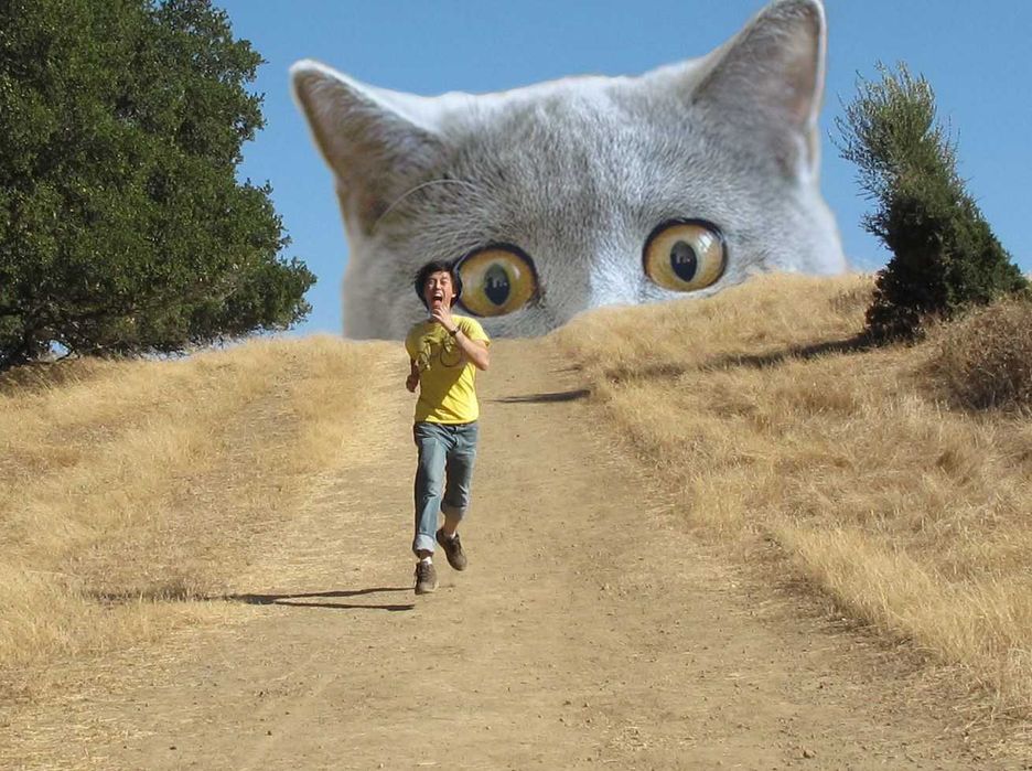 Услуги Графического Дизайнера Фотошоп, логотип, рекламные посты