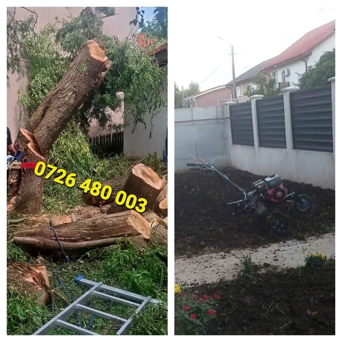 Lucrari gradina motocultor motosapa frezare sol defrisari terenuri tai pomi copaci cu drujba defrisam tai iarba buruieni