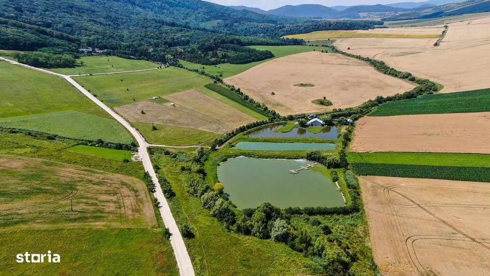 Proprietate spectaculoasă de 31.500 mp, cu iazuri și case locuibile