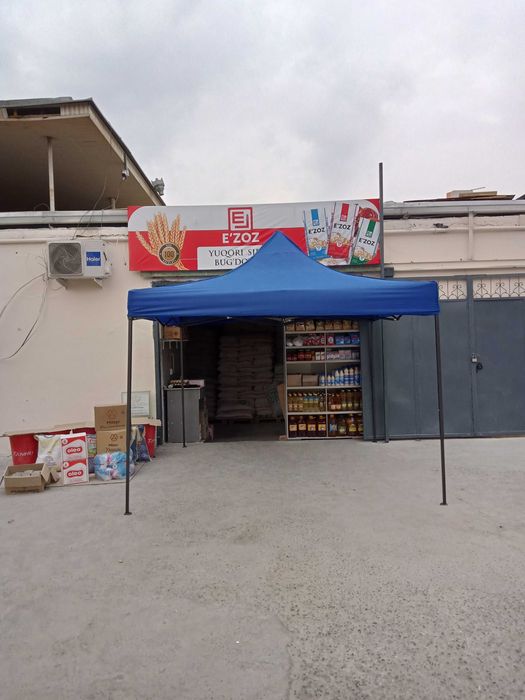 Naves Shatyor Zontik