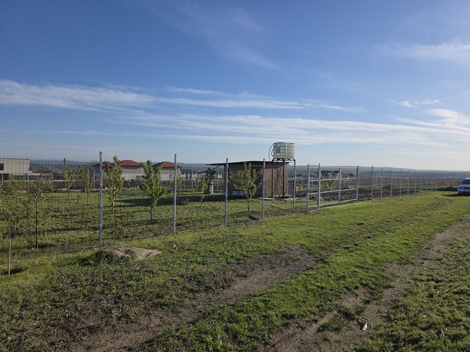 Peoprietar vând loc de casa /grădină Valea Lupului / Rediu