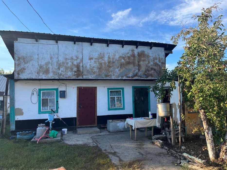 Үи сатылады. Жолдың бойында