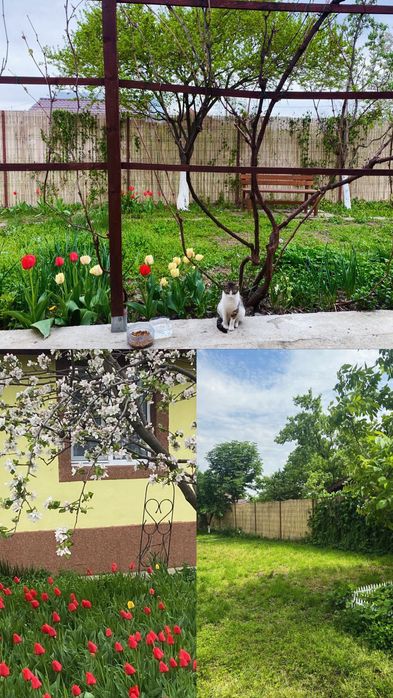 Casa individuală de vânzare