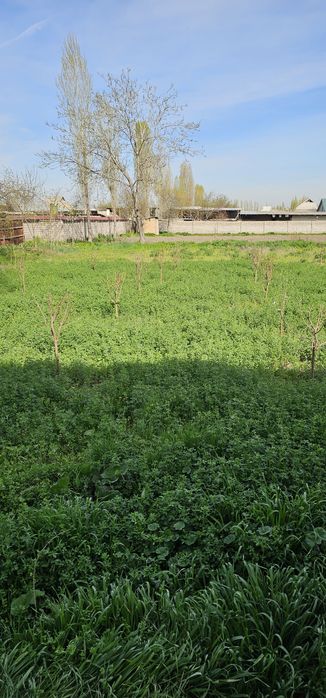 5 SOTIX UCHASTKA SOTILADI.manzil: Toshkent viloyati O'rta chirchiq tum