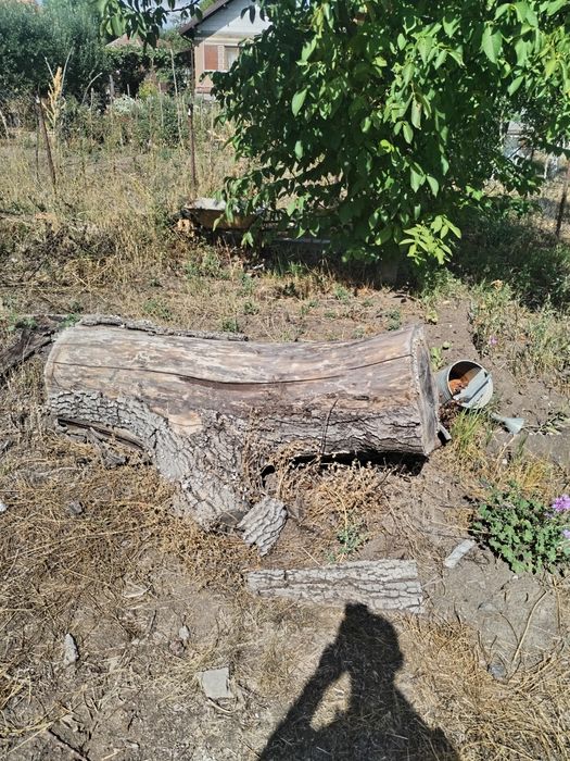 Lemn de nuc pentru mobilier