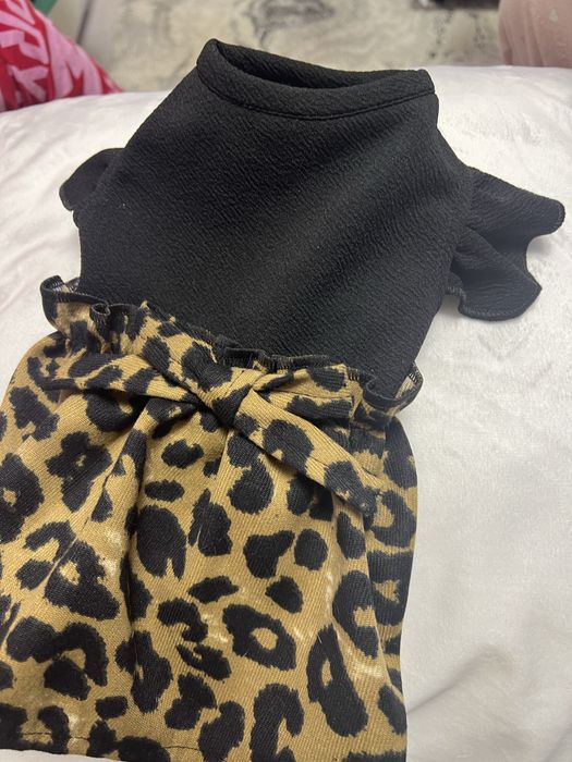 Rochita pentru pisici si caini