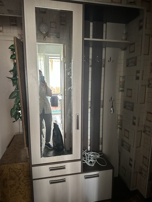 Прихожая гардеробная шкаф