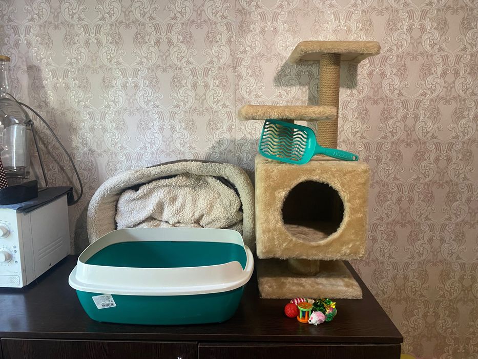 Туалет лоток для кошек лежанка кота когтеточка игрушки лопатка домик