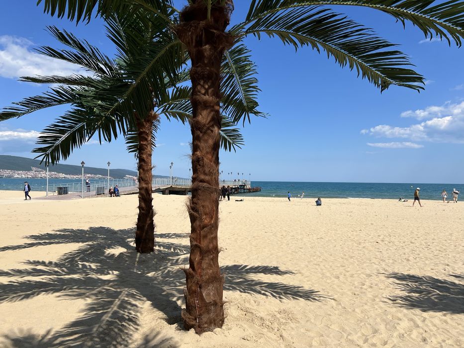 Топ локация Слънчев бряг под наем