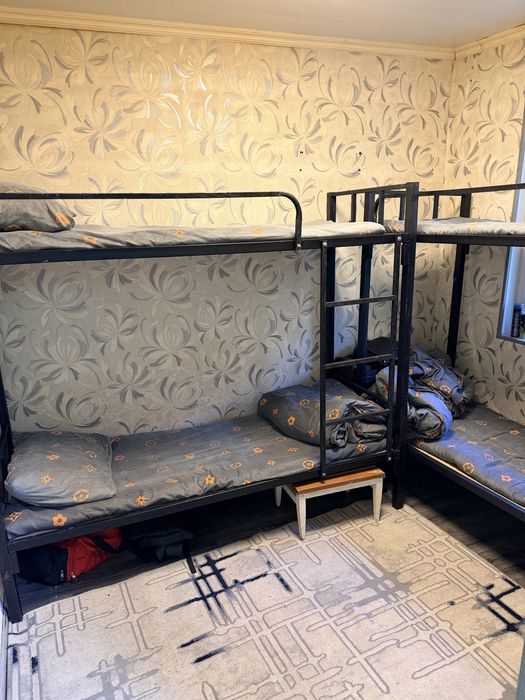 Arzon mehmonxona hostel
