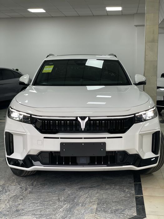 Voyah free apollo tech 318 full