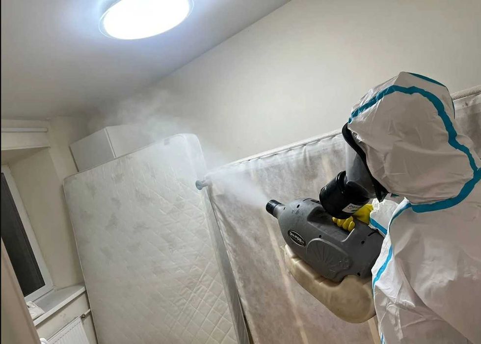 Дезинфекция Dezinfeksiya бурга burga блох Акция на обработку блох