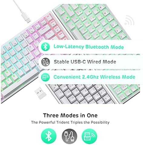 RK Royal Kludge RK84 75% Wireless RGB BT/2.4G