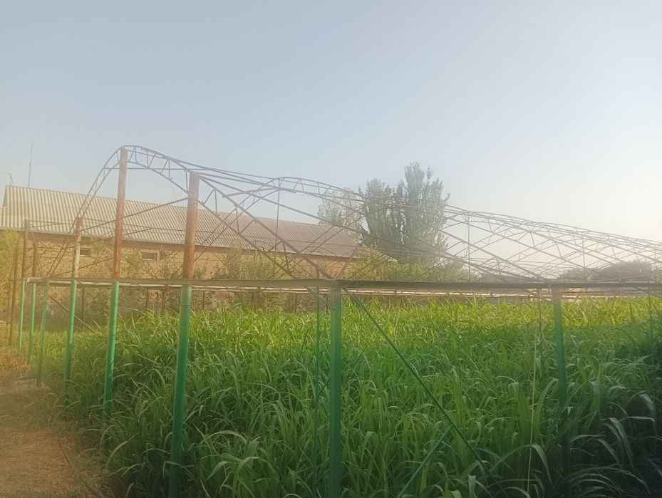 Parnik sotiladi 5 sotix