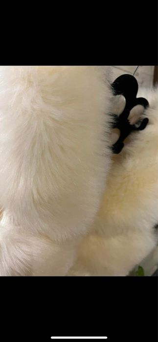 Пухено елече