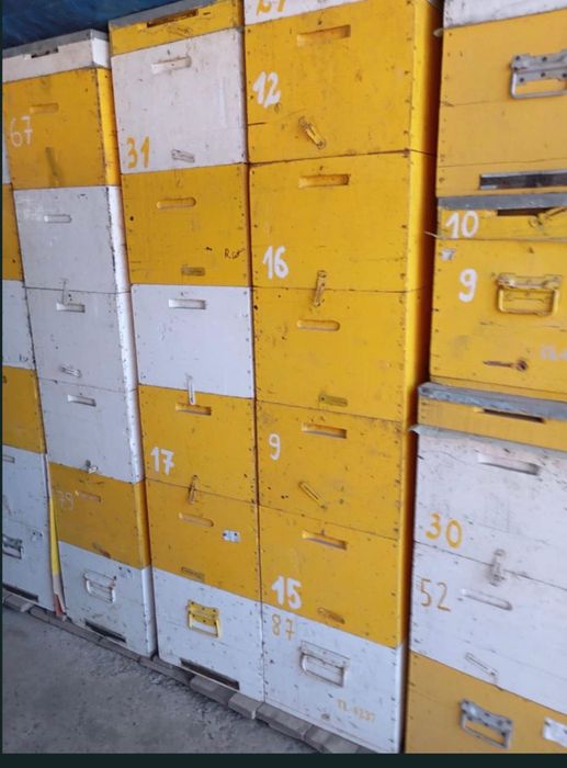 Vând lazi stupi stare foarte buna