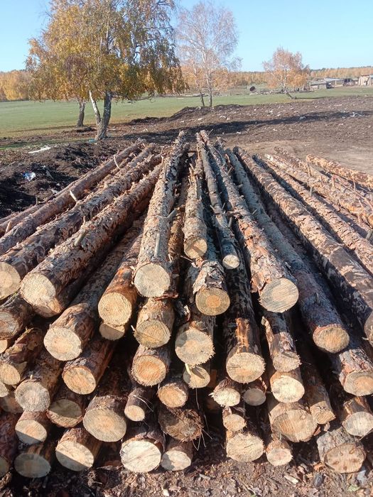 Продам жерди - сыргаул хорошие в наличие