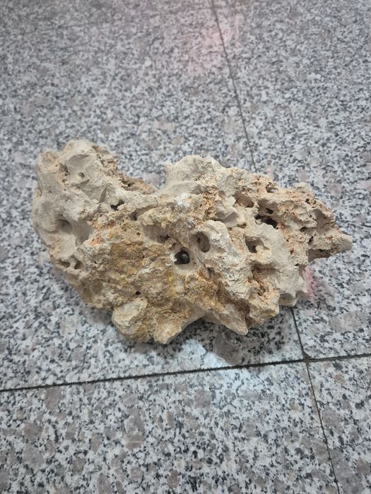 Piatra decorativa acvariu