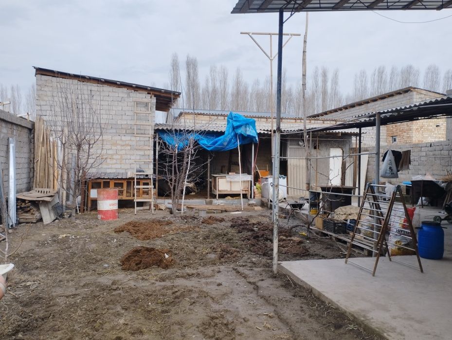 Laylak mahalla 4.3 so'th