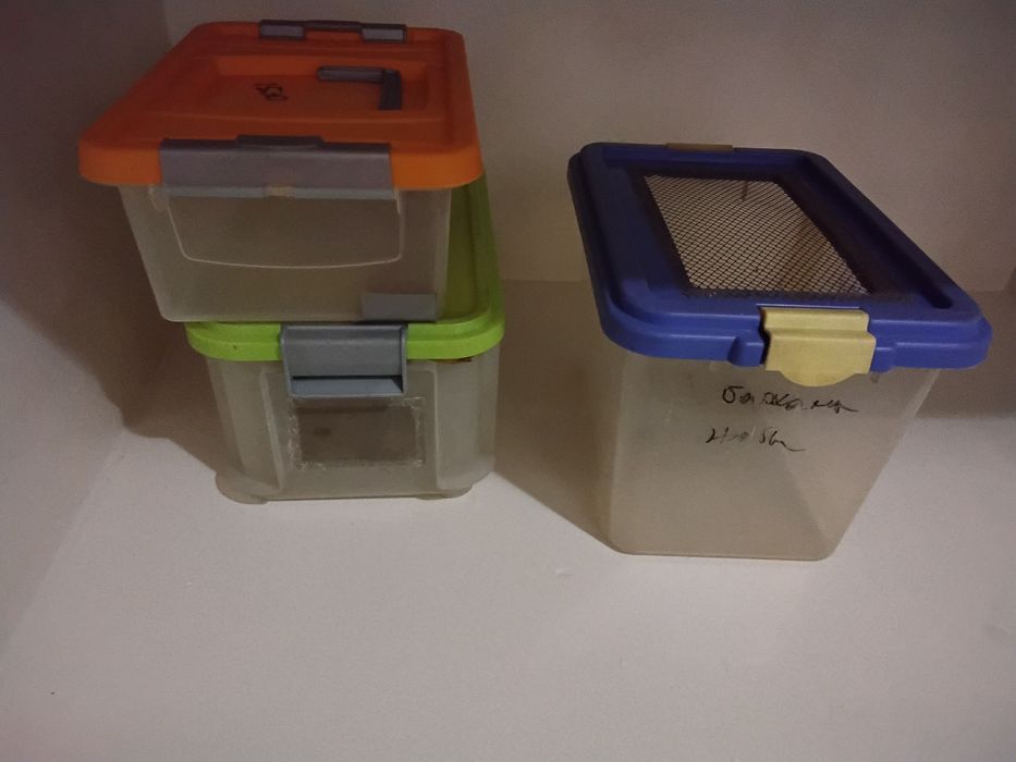 Контейнеры разные для  рептилий