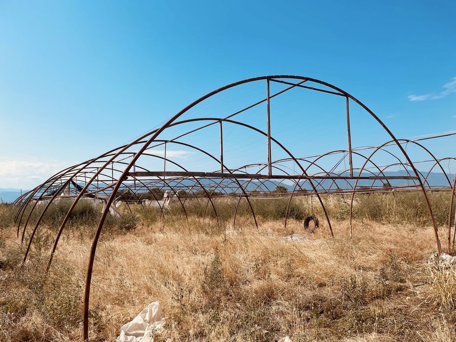 Ферми за оранжерии