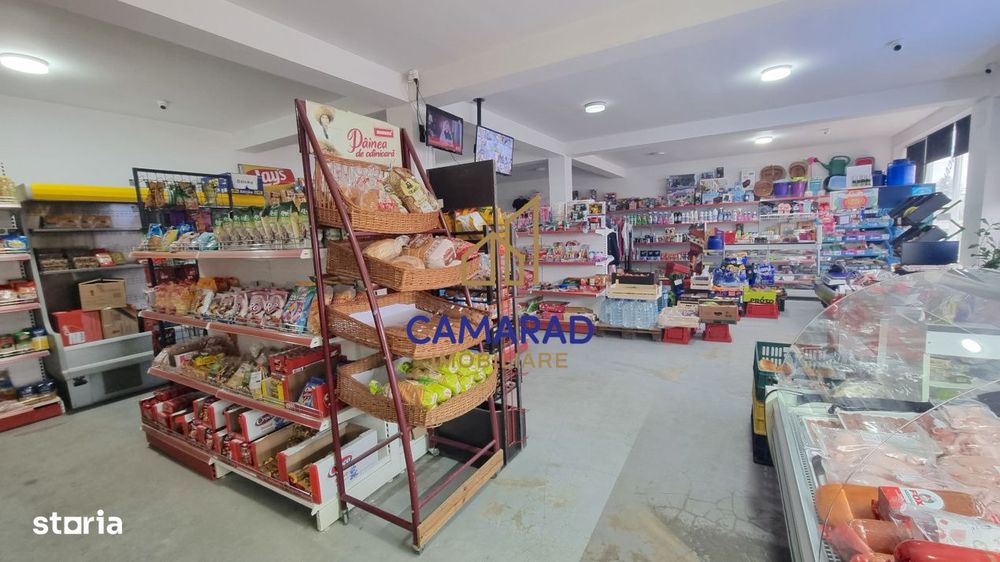 Teren de vanzare in Tamadau Mare, jud. Calarasi – Strada Principala