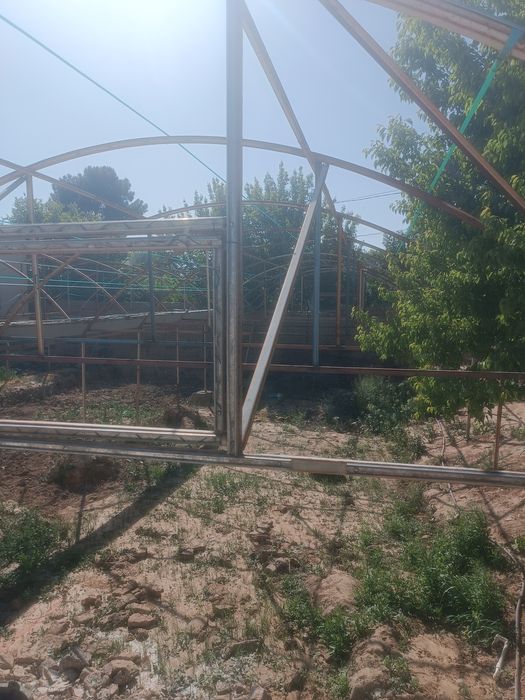 tiplisa yaxshi xolata turibdi